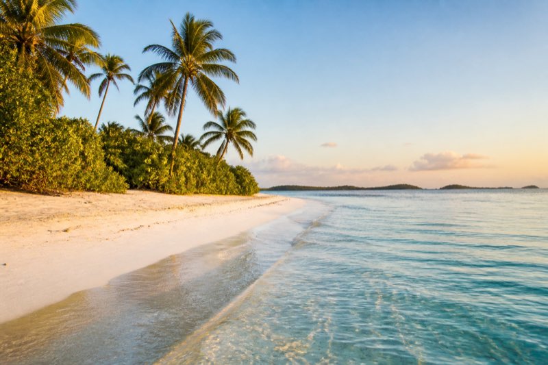 Quiet tropical island beach with palm trees and clear shallow water