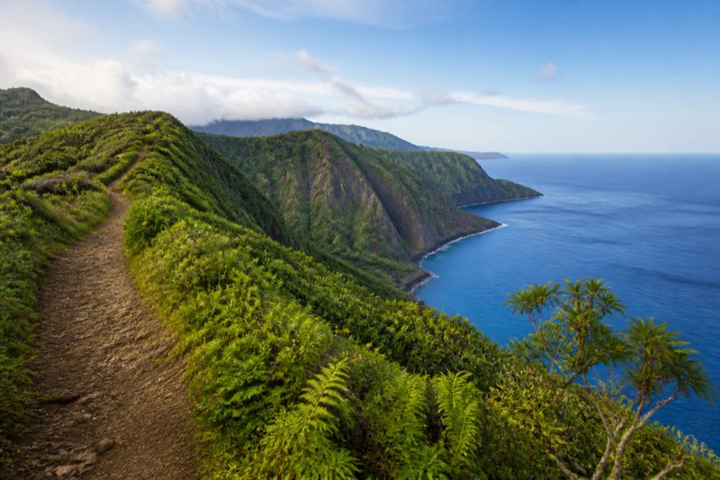 Green island hiking trail above cliffs and blue ocean